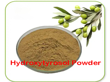 Does Olive Leaf Extract Contain Hydroxytyrosol?